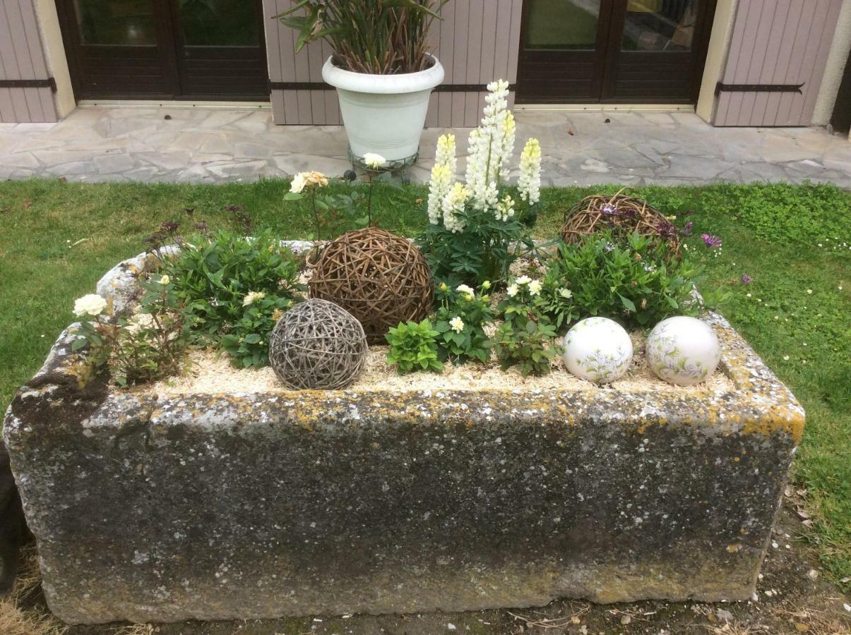 Le Grillage A Poules Bed & Breakfast Châteaubernard Exterior foto
